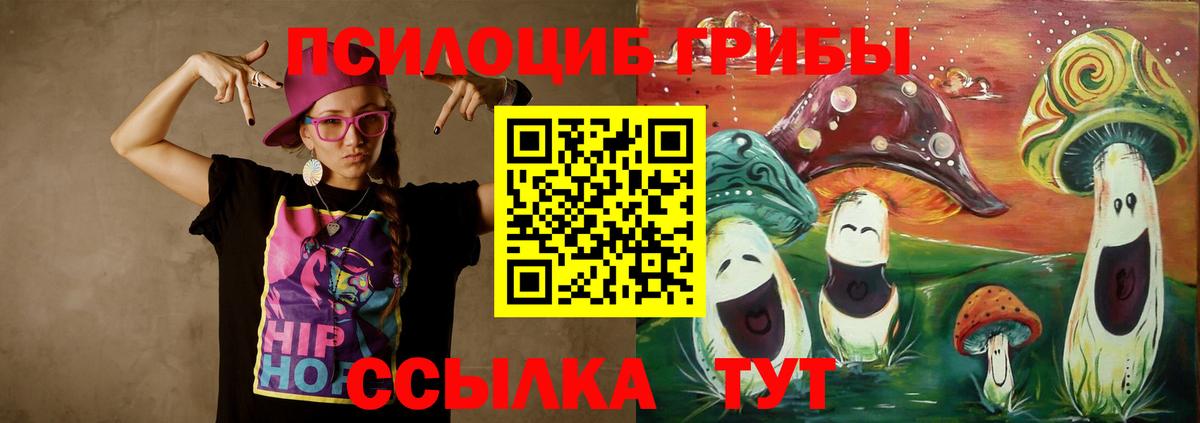Псилоцибиновые грибы прущие грибы Мирный